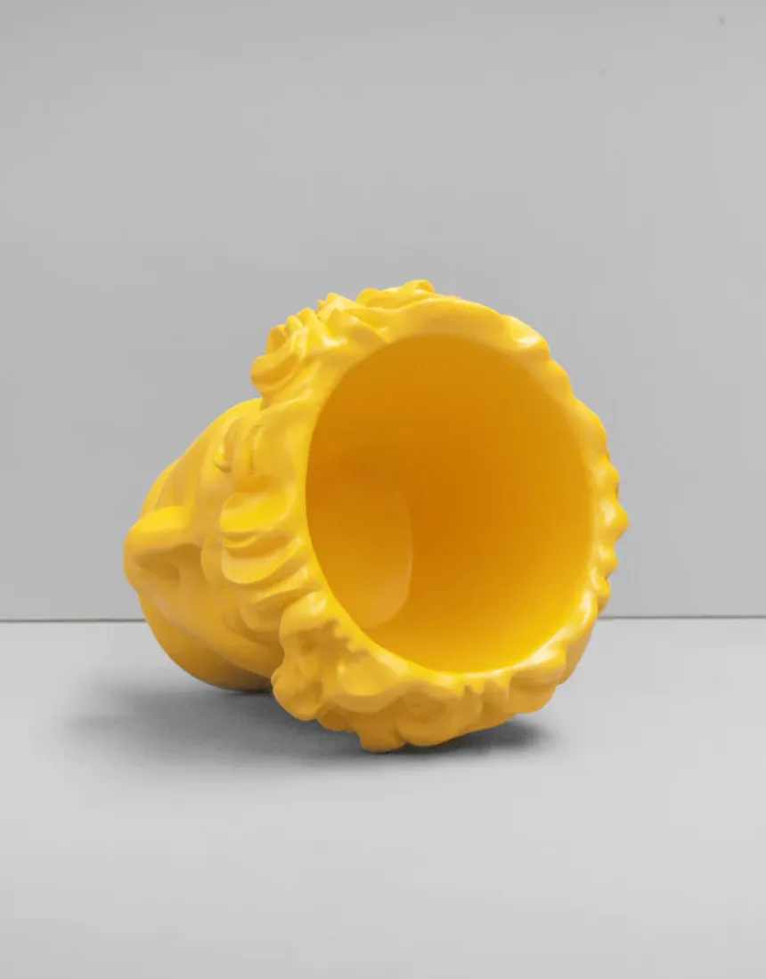 David Vase/Plant Holder - Yellow