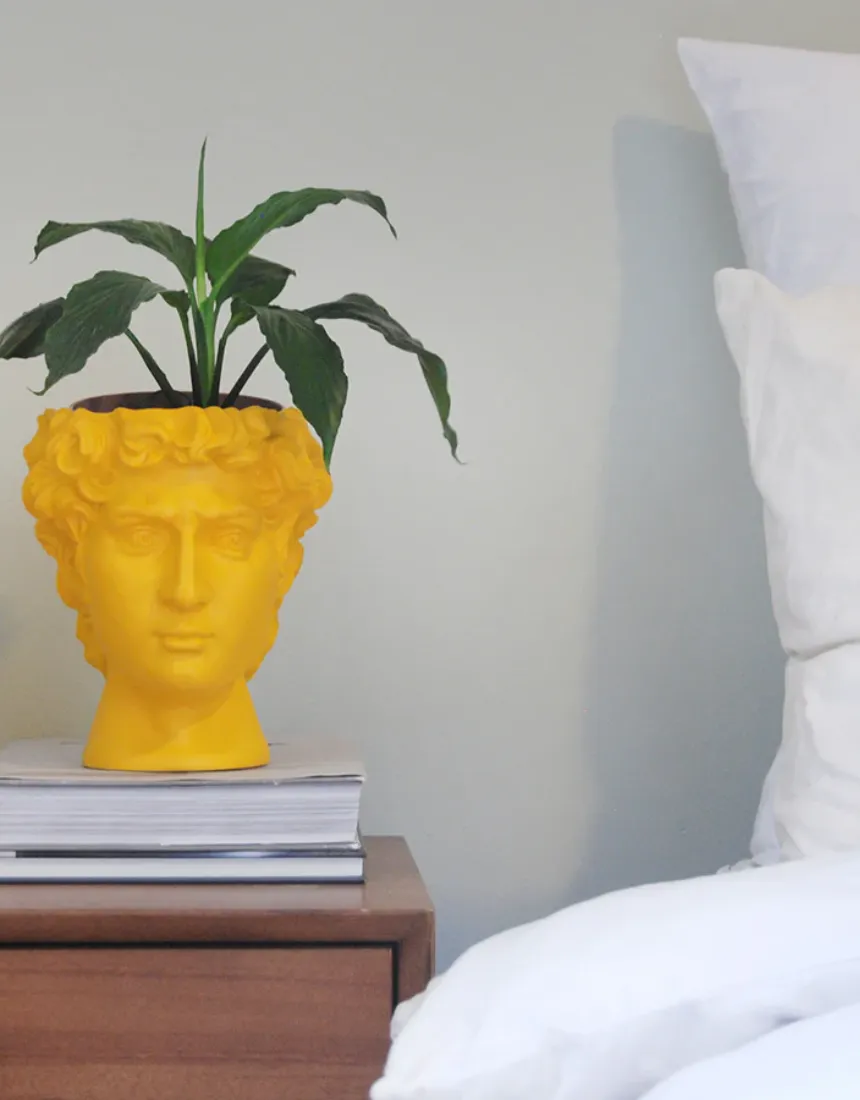 David Vase/Plant Holder - Yellow